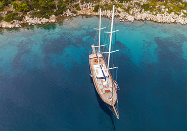 about page image template for craft